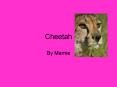 Cheetah PowerPoint PPT Presentation