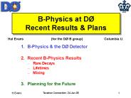 B-Physics at D