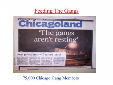 Feeding The Gangs
