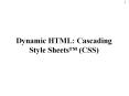 Dynamic HTML: Cascading Style Sheets PowerPoint PPT Presentation