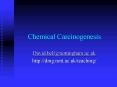 Chemical Carcinogenesis PowerPoint PPT Presentation