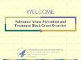 Substance Abuse Prevention and Treatment Block Grant Overview PowerPoint PPT Presentation