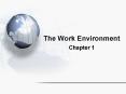 The Work Environment PowerPoint PPT Presentation