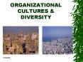 ORGANIZATIONAL CULTURES PowerPoint PPT Presentation