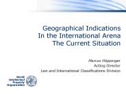 Geographical Indications In the International Arena The Current Situation