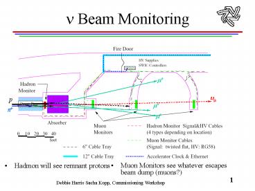 n Beam Monitoring