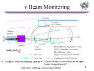 n Beam Monitoring