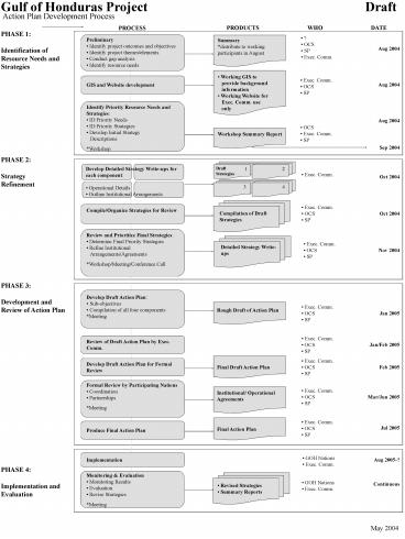presentation player overlay
