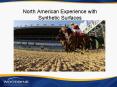 North American Experience with Synthetic Surfaces PowerPoint PPT Presentation