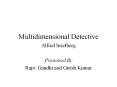 Multidimensional Detective PowerPoint PPT Presentation