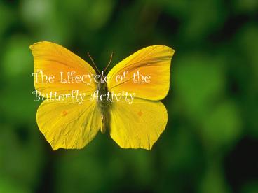 The Lifecycle of the Butterfly Activity
