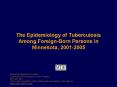 The Epidemiology of Tuberculosis Among ForeignBorn Persons in Minnesota, 20012005 PowerPoint PPT Presentation