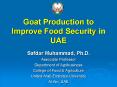 Goat Production to Improve Food Security in UAE PowerPoint PPT Presentation