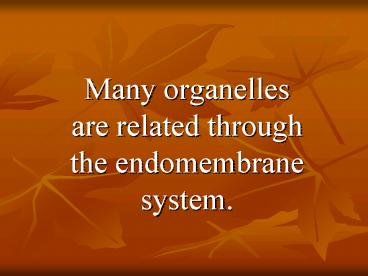 Many organelles are related through the endomembrane system'
