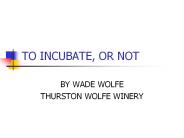 TO%20INCUBATE,%20OR%20NOT