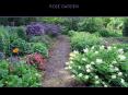 ROSE GARDEN PowerPoint PPT Presentation