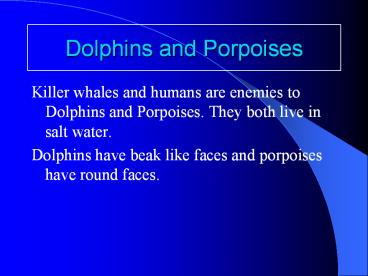 Dolphins and Porpoises