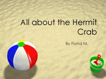 All about the Hermit Crab