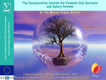 The Remuneration System for Federal Civil Servants