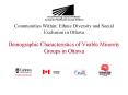 Communities Within: Ethnic Diversity and Social Exclusion in Ottawa Demographic Characteristics of V PowerPoint PPT Presentation