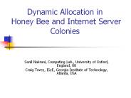Dynamic Allocation in Honey Bee and Internet Server Colonies