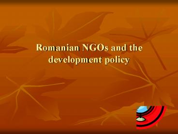 Romanian NGOs and the development policy