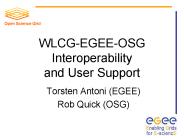 WLCGEGEEOSG Interoperability and User Support