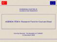 AGENDA ITEM 4: Research Fund for Coal and Steel PowerPoint PPT Presentation