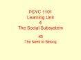 PSYC 1101 Learning Unit 4 The Social Subsystem PowerPoint PPT Presentation