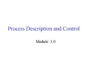 Process Description and Control