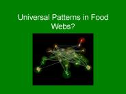 Universal Patterns in Food Webs?