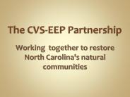 Multiinstitutional collaborative program'