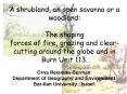 A shrubland, an open savanna or a woodland: PowerPoint PPT Presentation