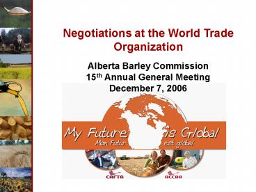 Negotiations at the World Trade Organization