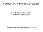 CONVECTION IN TROPICAL CYCLONES