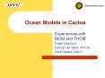 Ocean Models in Cactus PowerPoint PPT Presentation
