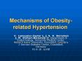 Mechanisms of Obesityrelated Hypertension PowerPoint PPT Presentation