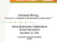 Artisanal Mining: Force for or Obstacle to Biodiversity Conservation ? PowerPoint PPT Presentation
