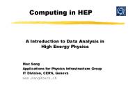 Computing in HEP