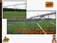 Sensor Based N: Agronomic and Engineering Background