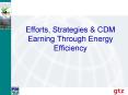 Efforts, Strategies PowerPoint PPT Presentation