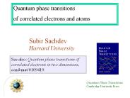 Quantum phase transitions