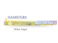 HAMSTERS PowerPoint PPT Presentation