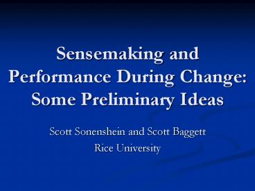 Sensemaking and Performance During Change:  Some Preliminary Ideas