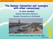 The Ramsar Convention and synergies with other conventions