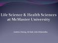 McMaster University: Bachelor Honours Health Sciences PowerPoint PPT Presentation