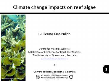 Climate change impacts on reef algae