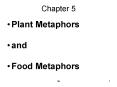 Plant Metaphors PowerPoint PPT Presentation