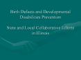 Birth%20Defects%20and%20Developmental%20Disabilities%20Prevention%20State%20and%20Local%20Collaborative%20Efforts%20in%20Illinois PowerPoint PPT Presentation