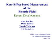 Kerr Effectbased Measurement of the Electric Field
